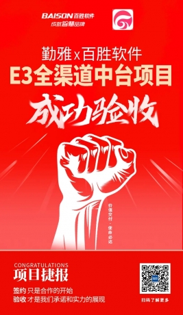 百胜软件